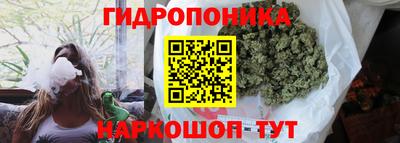 jwh Аргун