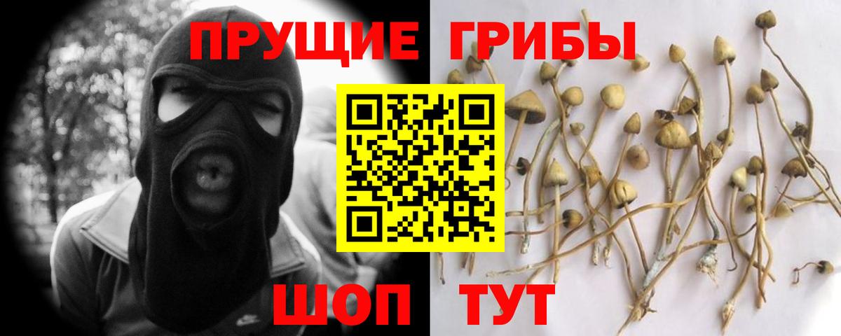 Галлюциногенные грибы мухоморы Ачхой-Мартан