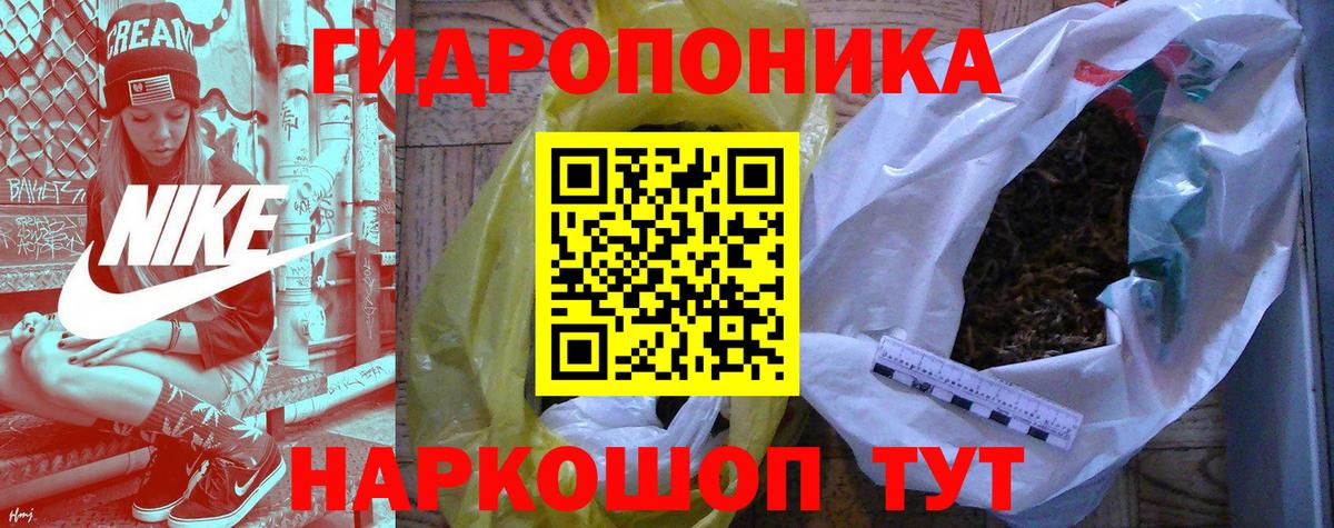 Ачхой-Мартан  Марихуана SATIVA & INDICA  Конопля Bruce Banner  Вход с VPN  Шишки марихуана индика 