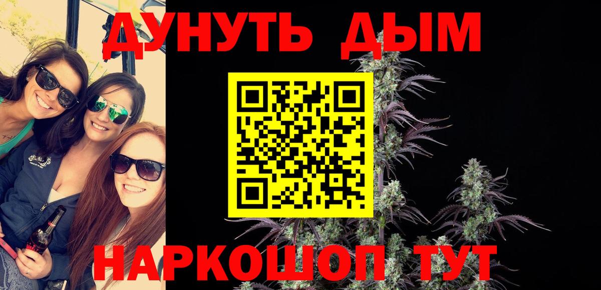 Конопля план Ачхой-Мартан